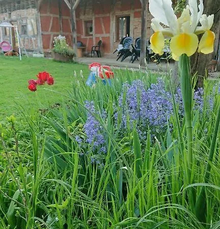 Tatil Evi A La Poularde Curciat-Dongalon
